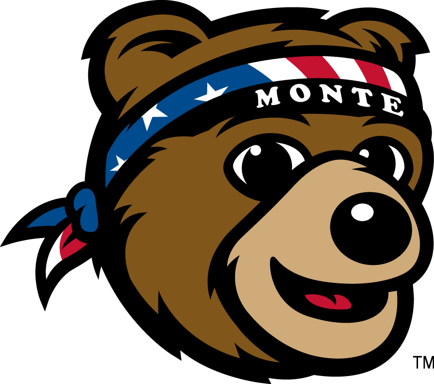 Montana Grizzlies 2010-Pres Mascot Logo iron on transfers for T-shirts